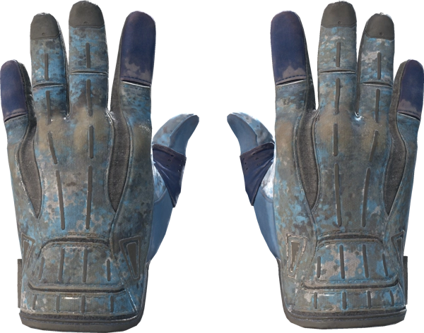 ★ Sport Gloves | Frosty