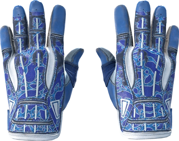 ★ Sport Gloves | Amphibious