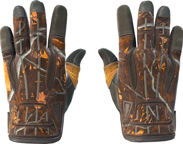★ Sport Gloves | Big Game
