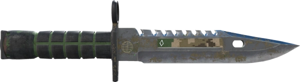 ★ StatTrak™ M9 Bayonet | Forest DDPAT