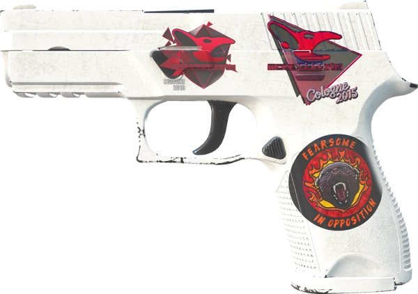P250 | Whiteout