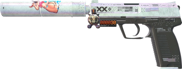 StatTrak™ USP-S | Printstream