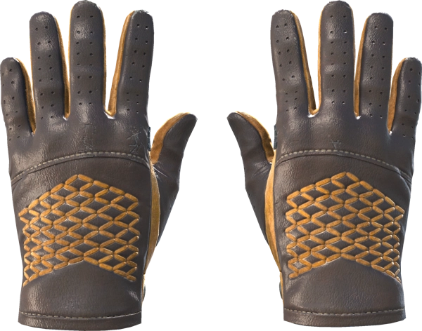 ★ Driver Gloves | Overtake