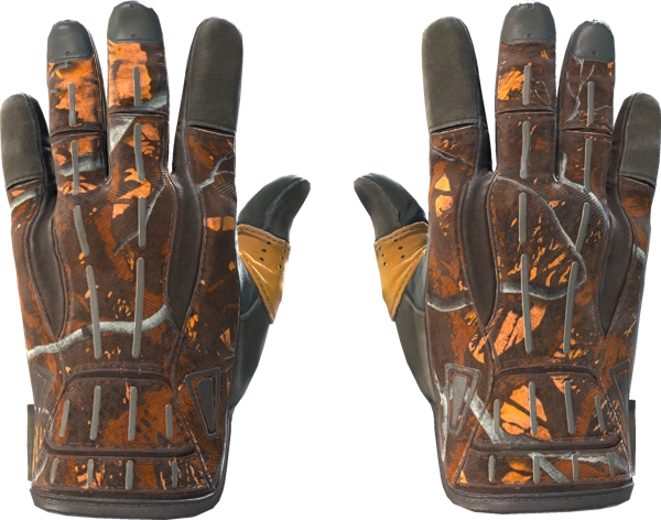 ★ Sport Gloves | Big Game