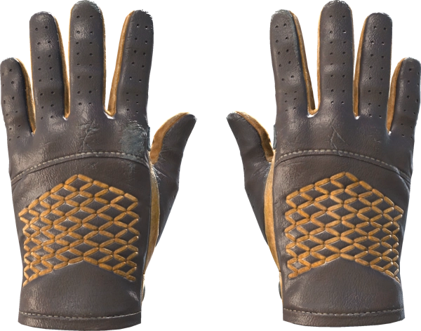 ★ Driver Gloves | Overtake