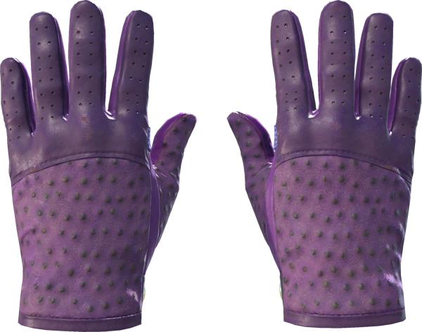 ★ Driver Gloves | Plum Quill