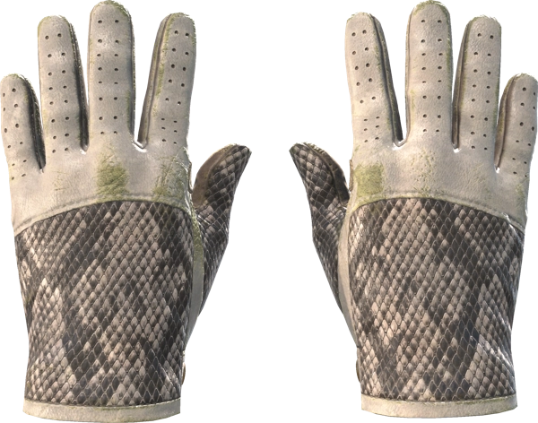 ★ Driver Gloves | King Snake