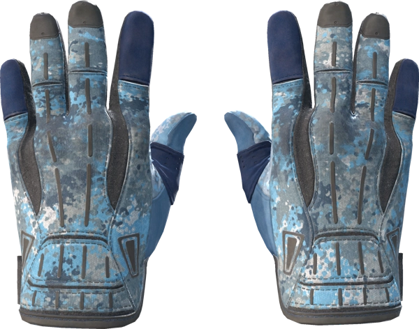 ★ Sport Gloves | Frosty