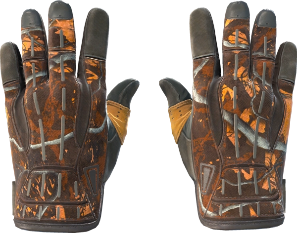 ★ Sport Gloves | Big Game