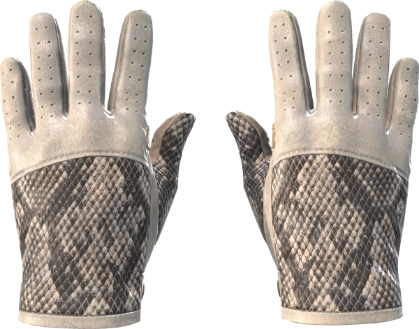★ Driver Gloves | King Snake
