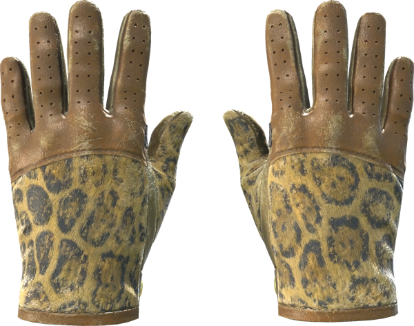 ★ Driver Gloves | Queen Jaguar