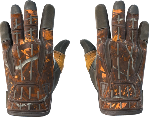 ★ Sport Gloves | Big Game