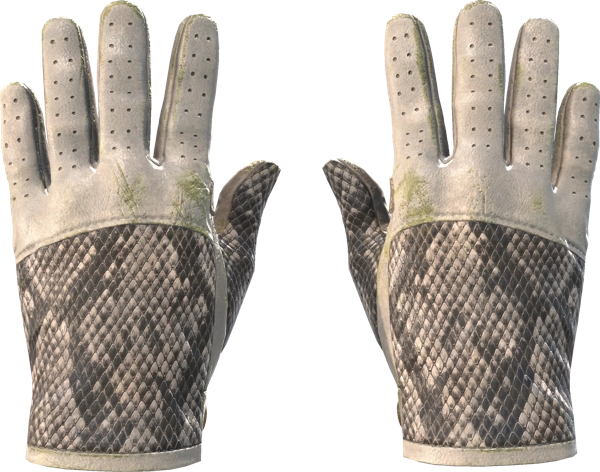 ★ Driver Gloves | King Snake