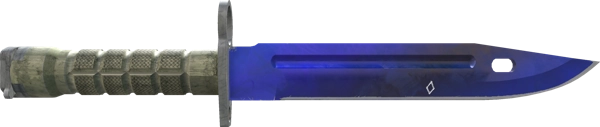 ★ StatTrak™ Bayonet | Doppler