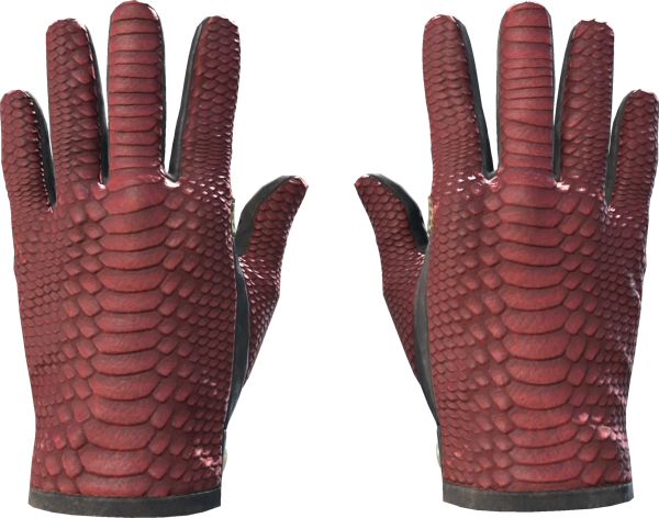 ★ Driver Gloves | Dragon Fists