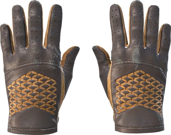 ★ Driver Gloves | Overtake