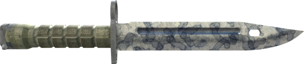 ★ Bayonet | Stained
