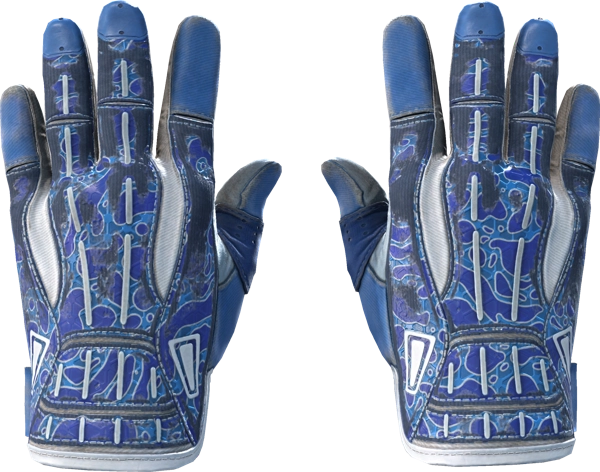 ★ Sport Gloves | Amphibious