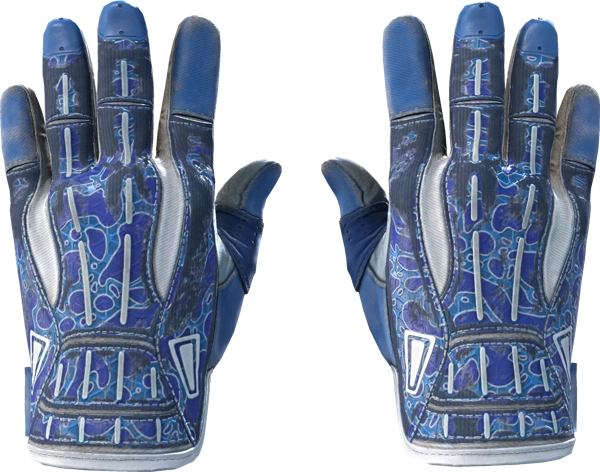 ★ Sport Gloves | Amphibious