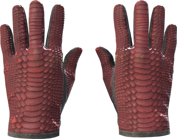 ★ Driver Gloves | Dragon Fists