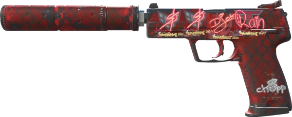 USP-S | Check Engine