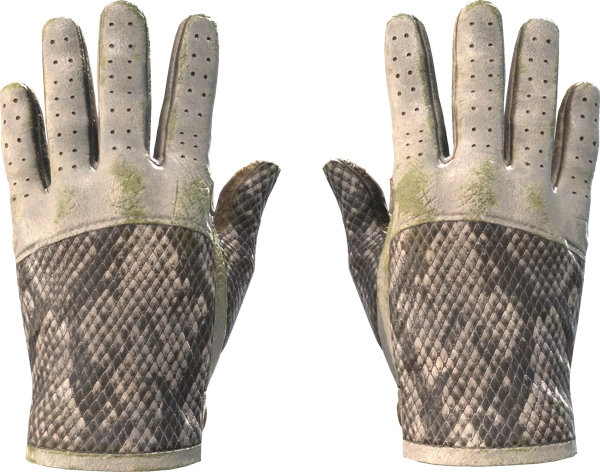 ★ Driver Gloves | King Snake
