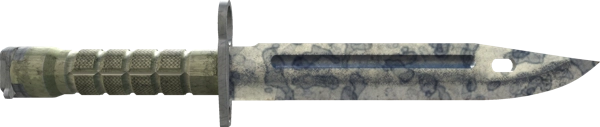 ★ Bayonet | Stained