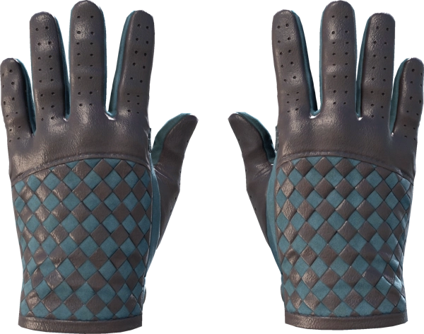 ★ Driver Gloves | Lunar Weave
