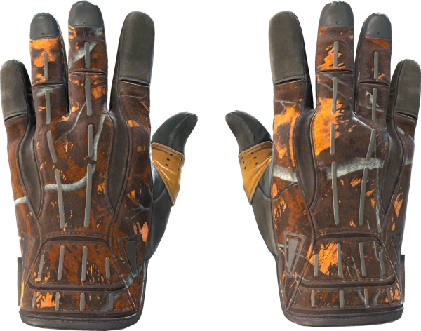 ★ Sport Gloves | Big Game