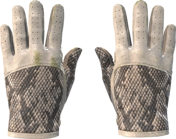 ★ Driver Gloves | King Snake