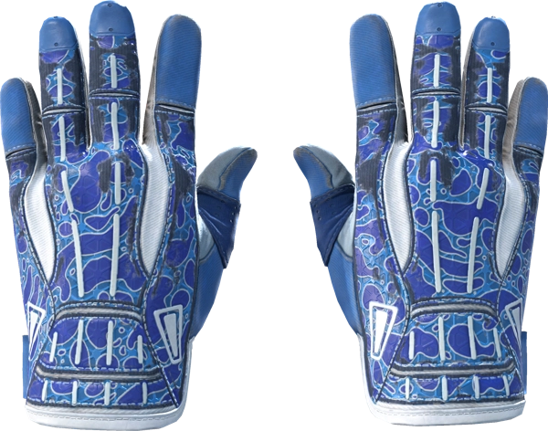 ★ Sport Gloves | Amphibious