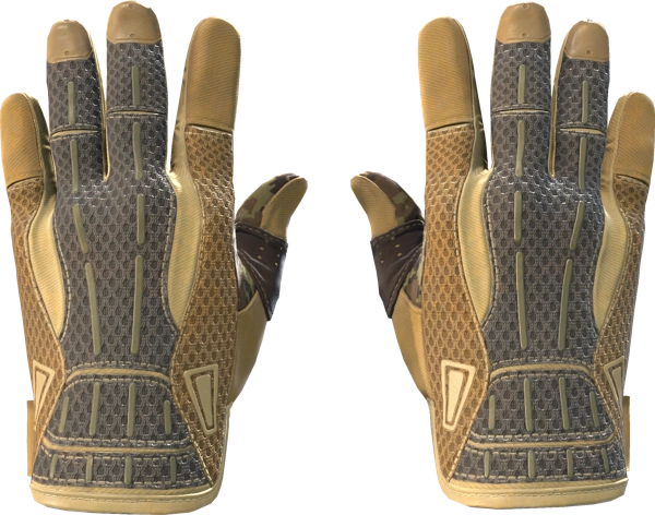 ★ Sport Gloves | Arid
