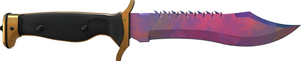 ★ Bowie Knife | Doppler