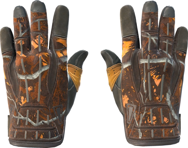 ★ Sport Gloves | Big Game