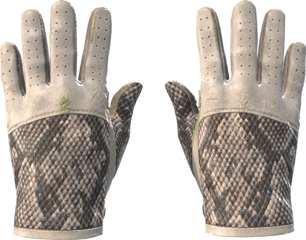 ★ Driver Gloves | King Snake