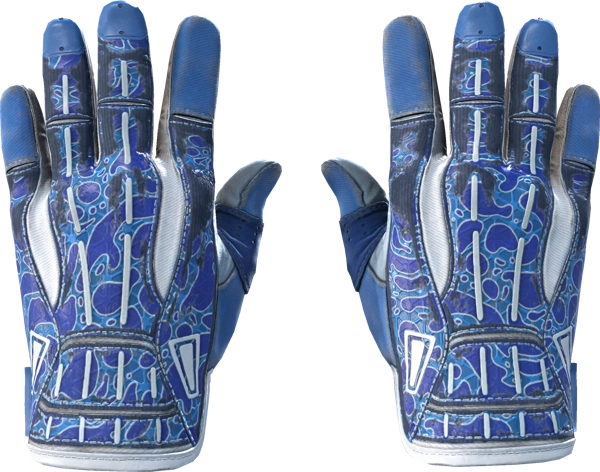 ★ Sport Gloves | Amphibious