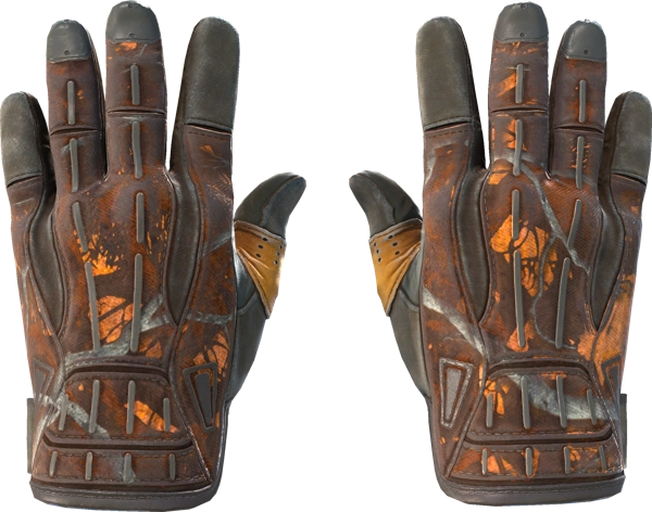 ★ Sport Gloves | Big Game