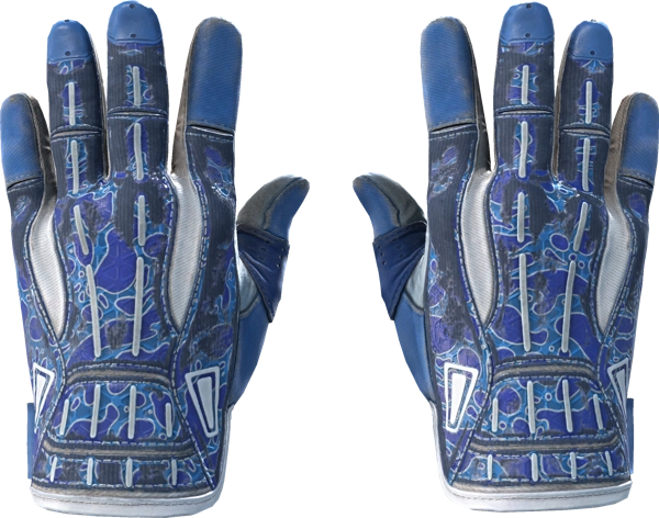 ★ Sport Gloves | Amphibious