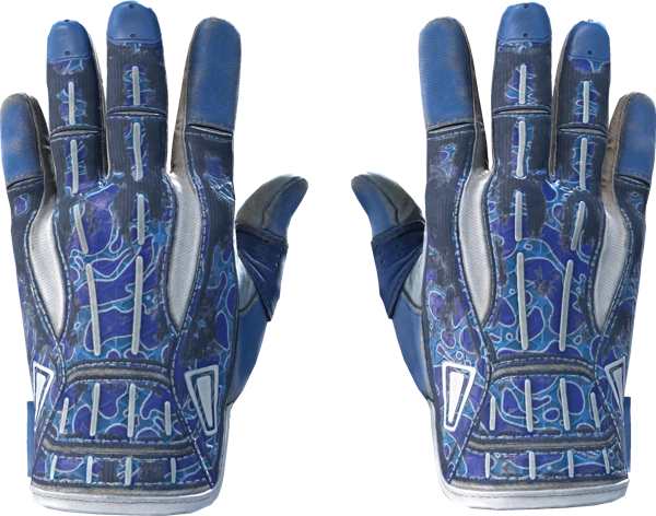 ★ Sport Gloves | Amphibious