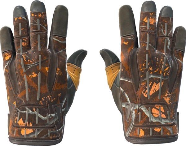 ★ Sport Gloves | Big Game