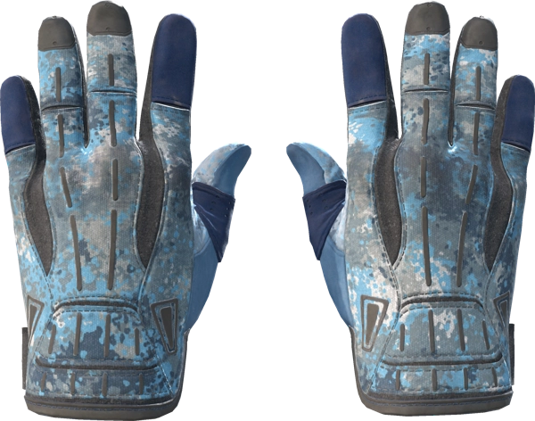 ★ Sport Gloves | Frosty