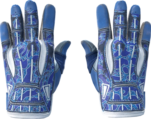 ★ Sport Gloves | Amphibious