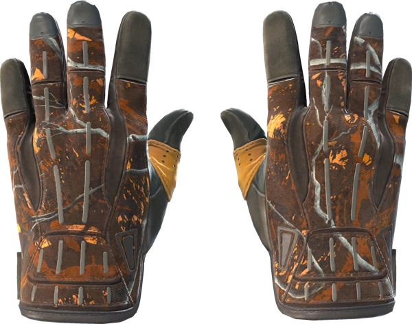 ★ Sport Gloves | Big Game