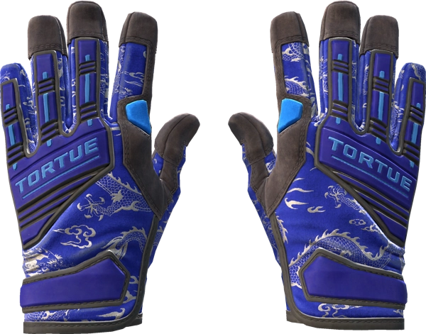 ★ Specialist Gloves | Cloud Chaser