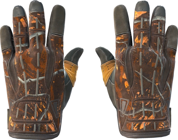 ★ Sport Gloves | Big Game
