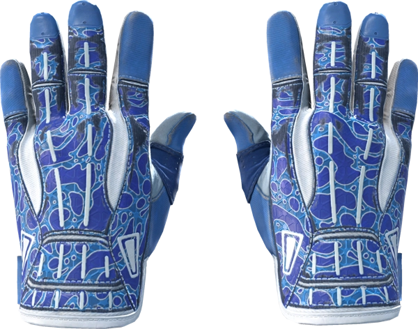 ★ Sport Gloves | Amphibious