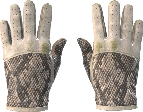 ★ Driver Gloves | King Snake
