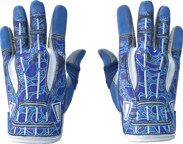 ★ Sport Gloves | Amphibious