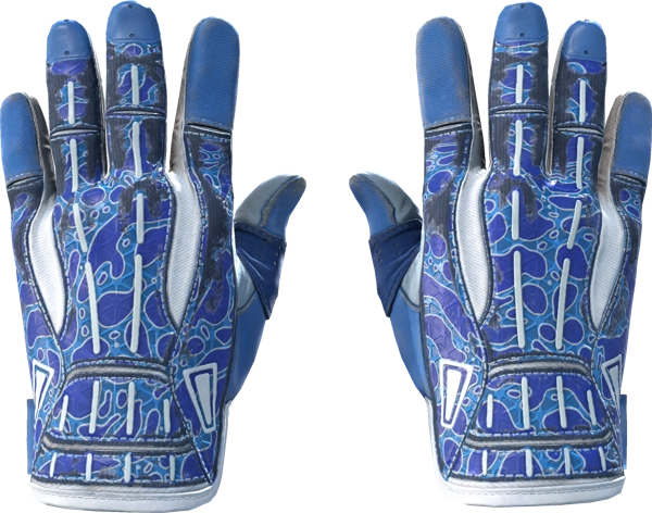 ★ Sport Gloves | Amphibious