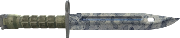 ★ Bayonet | Stained